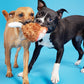 Tavern Turkey Leg Plush Food Dog Toy ALL