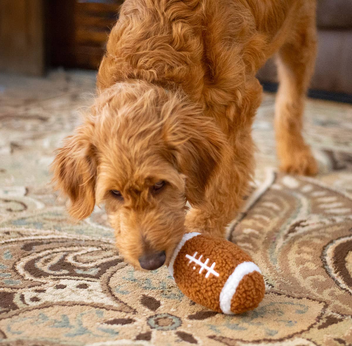 Football Plush Dog Toy 6.5"