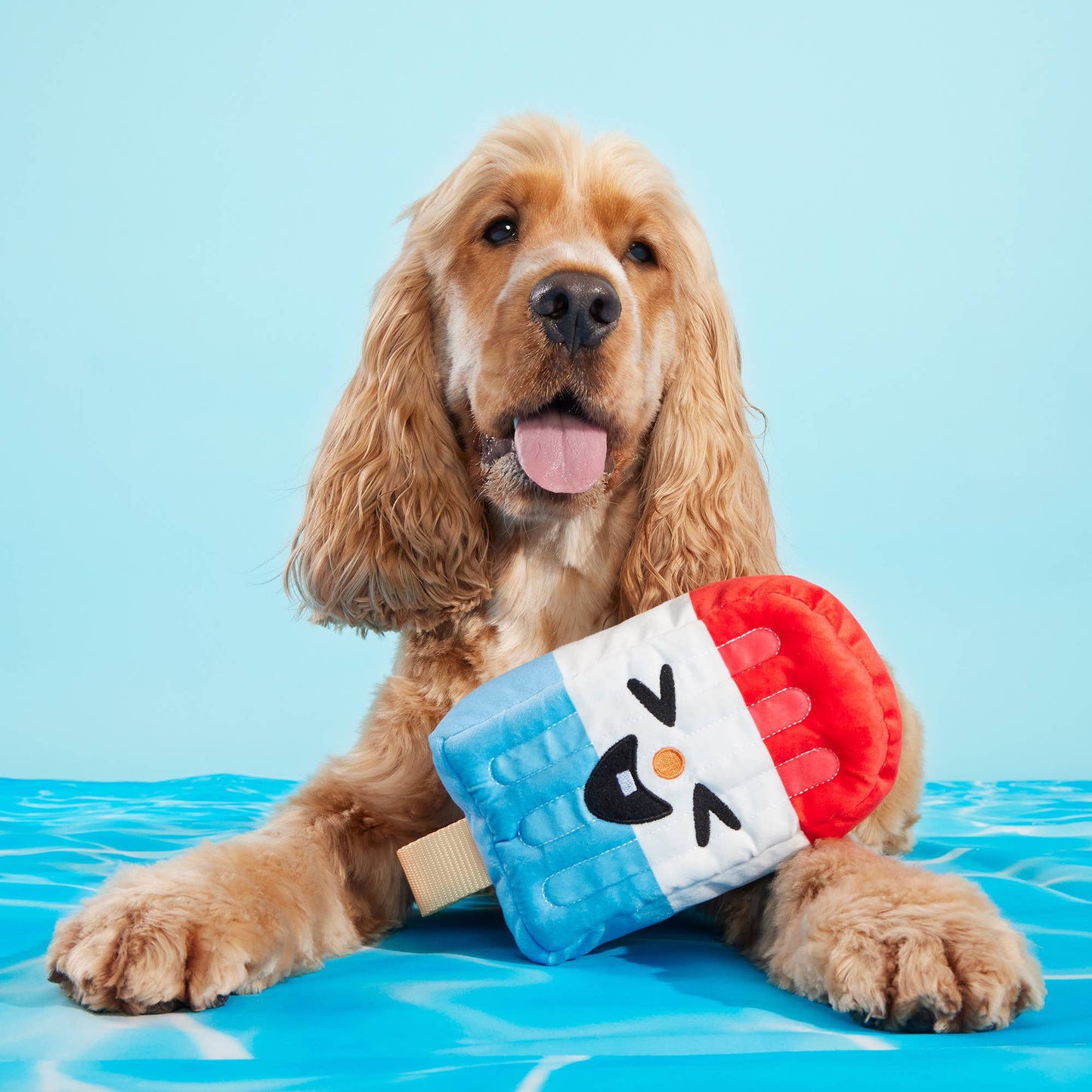 BARK Rocket Droolsicle Plush Dog Toy