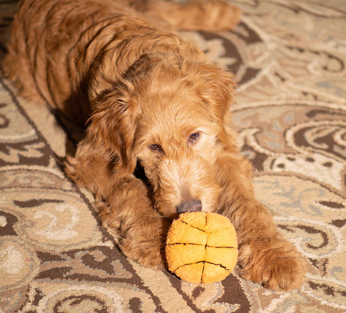 Basketball Plush Dog Toy 4"
