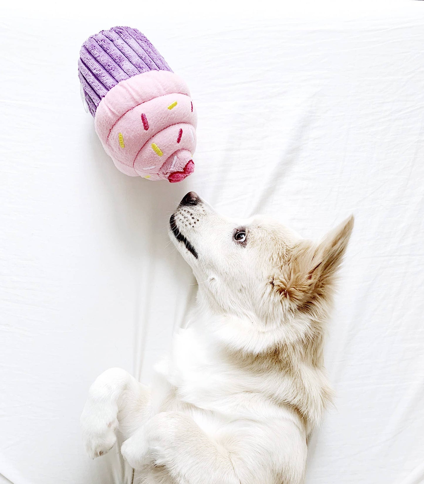 Pink Birthday Cupcake