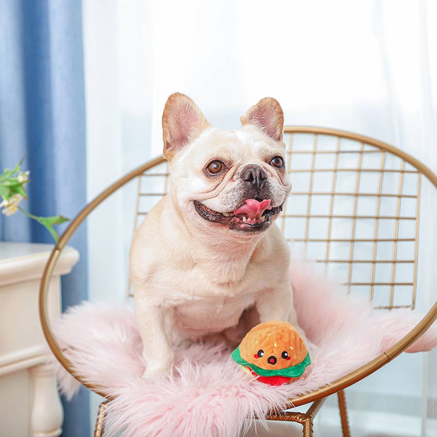 Hamburger | Food Party - Dog Ball Toy