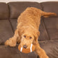 Football Plush Dog Toy 6.5"