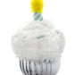 Birthday Cupcake