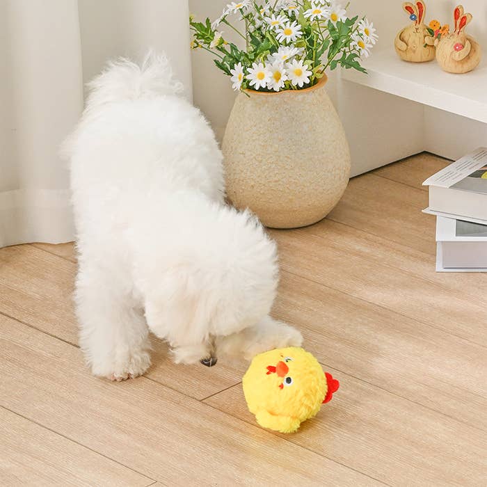 Chick -  Farm Friendz - Dog Ball Toy
