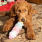 3-Scoop Birthday Ice Cream Cone Plush Dog Toy 12"