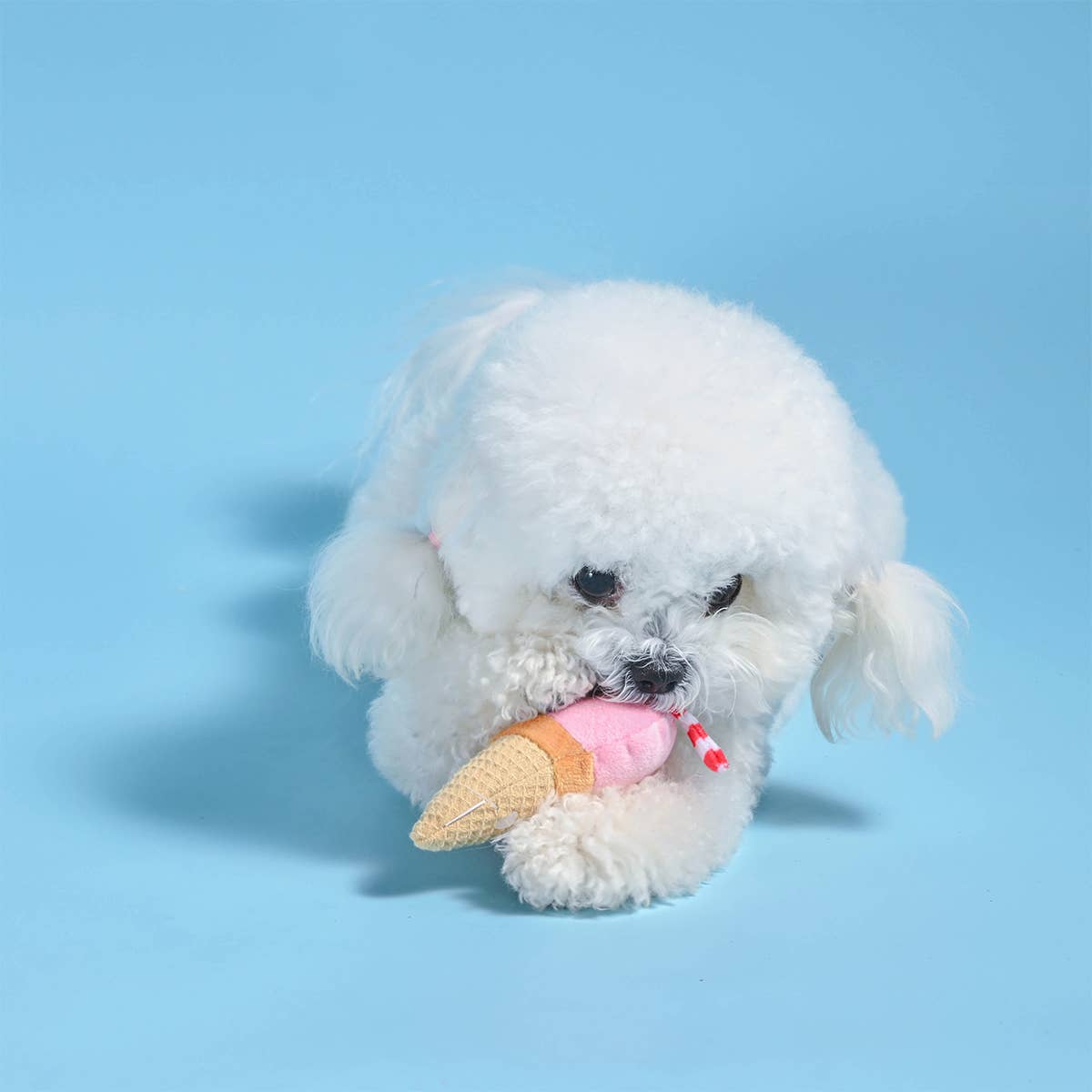 Cool Pup - Dog Plush Toy