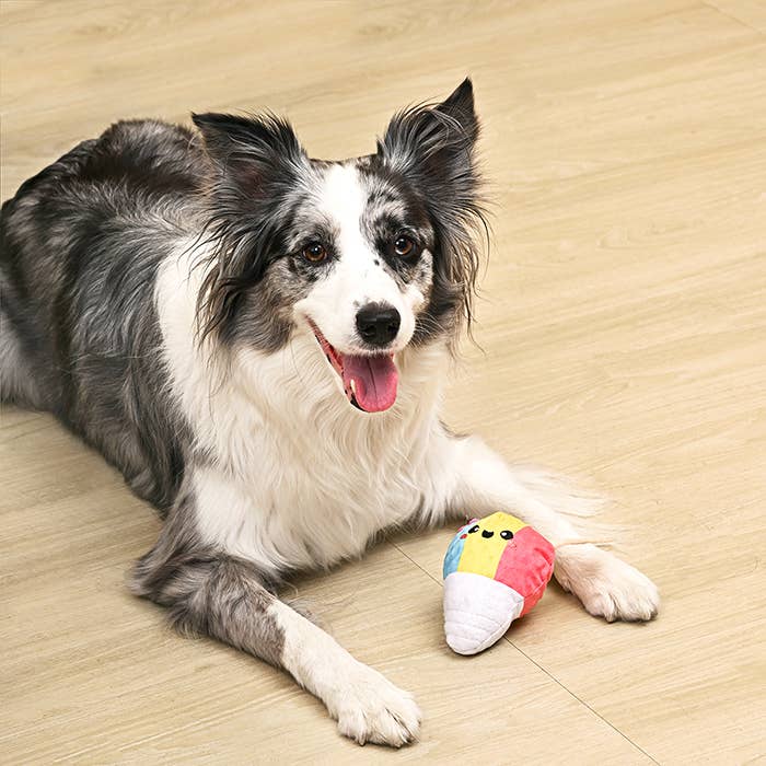 Shaved Ice - Dog Ball Toy