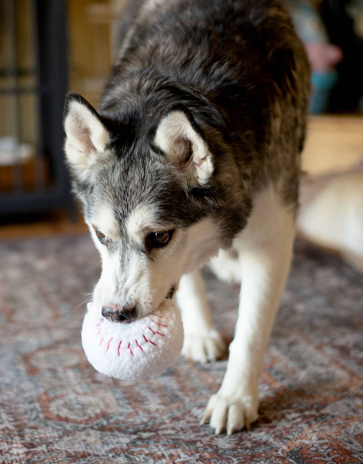 Baseball Plush Dog Toy 4"