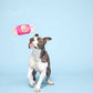 Bubble Gum