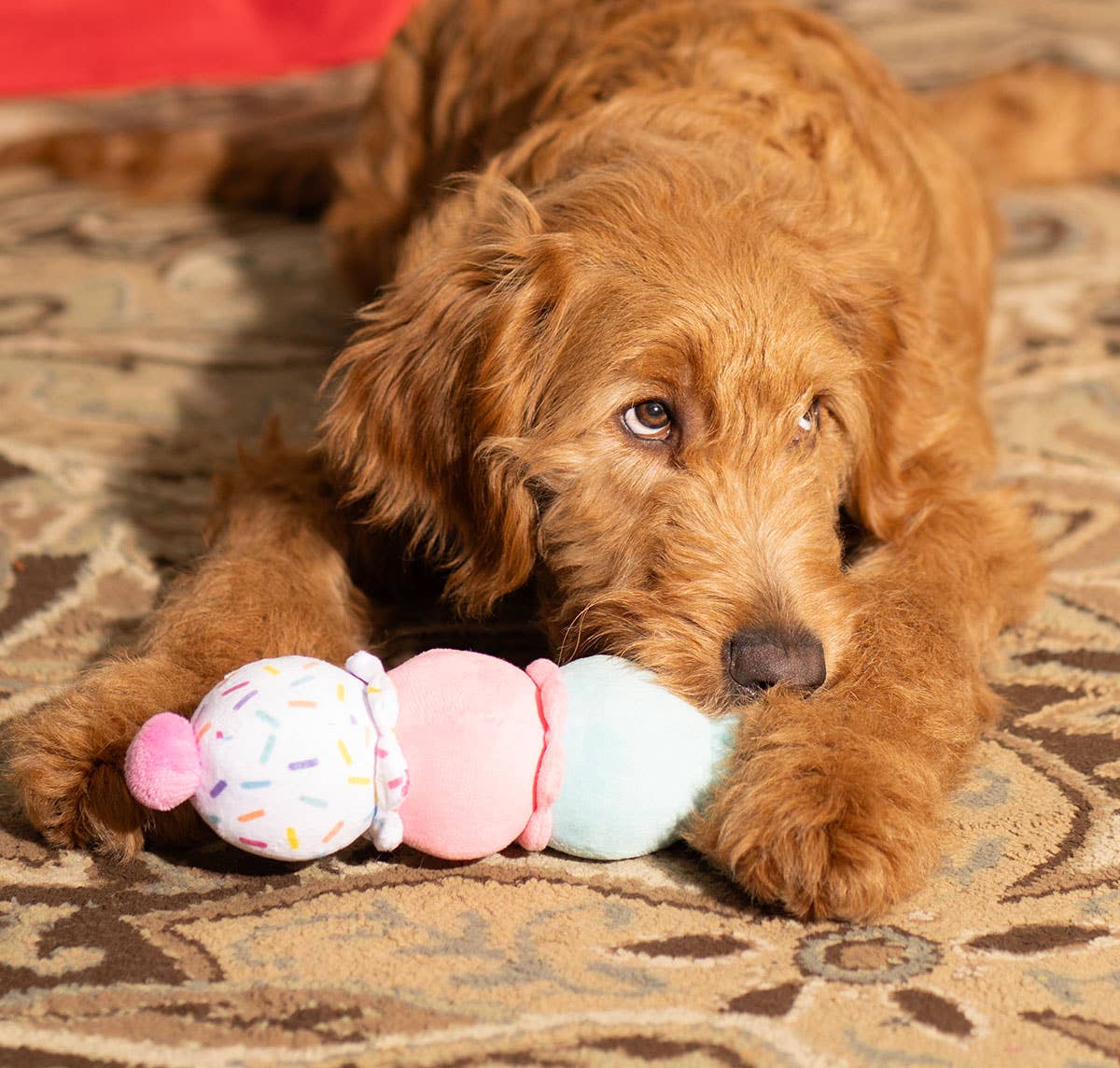 3-Scoop Birthday Ice Cream Cone Plush Dog Toy 12"